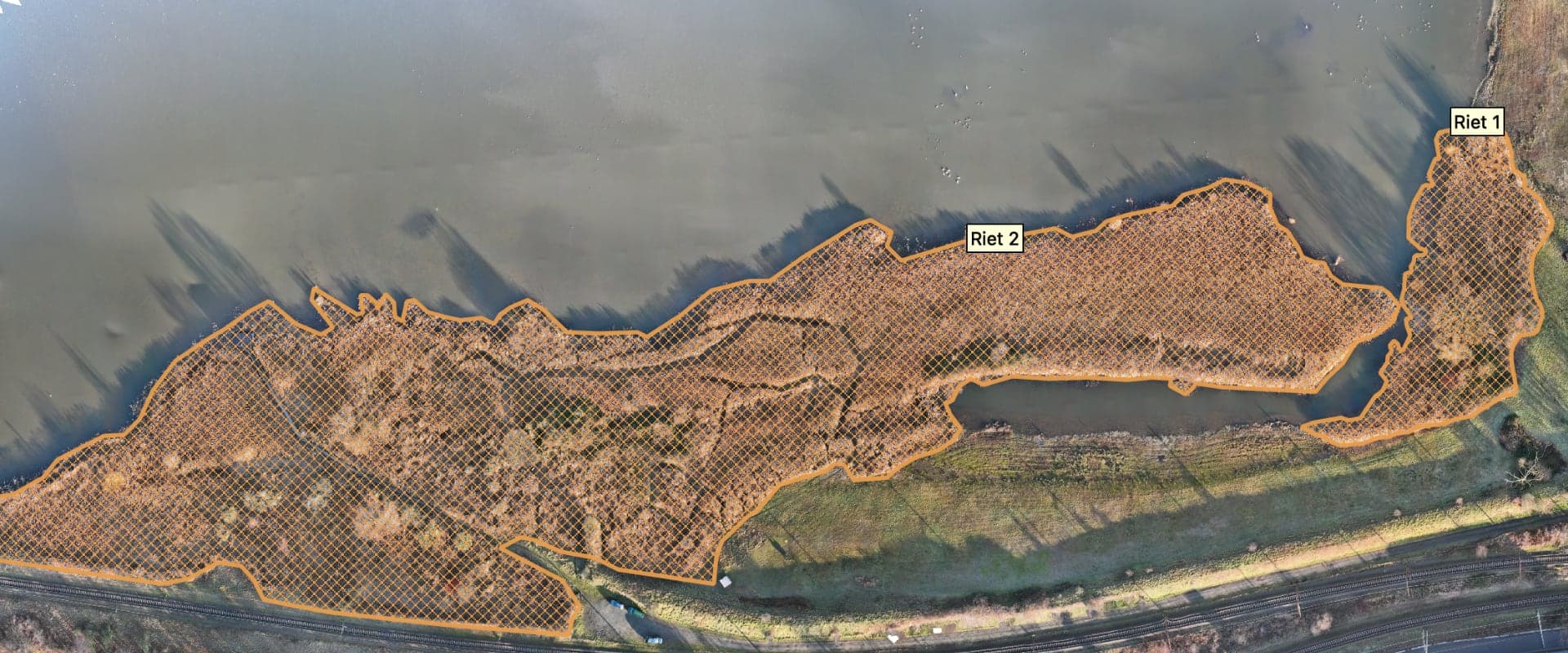 Orthofoto van rietvelden in de haven van Antwerpen, met de afgebakende zones Riet 1 en Riet 2