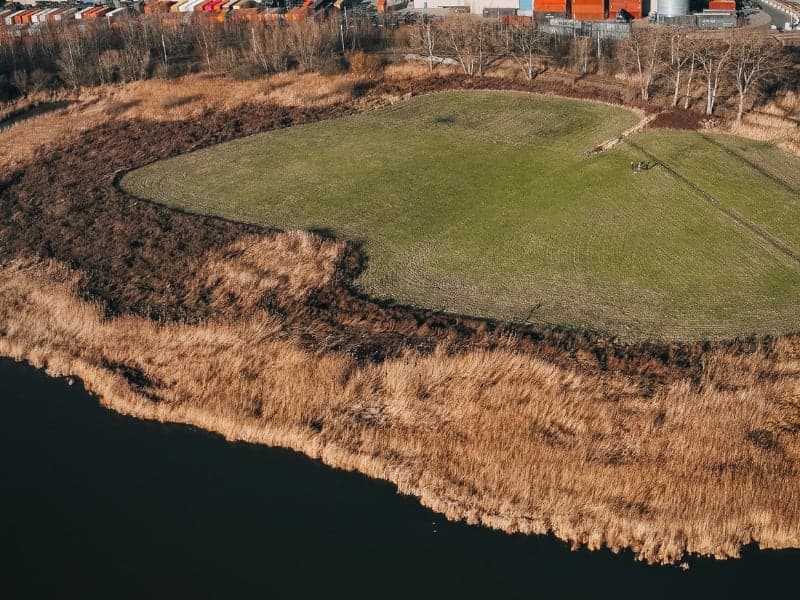 Luchtfoto van een rietveld langs het water in de haven van Antwerpen